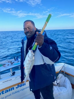 Scup / Porgy Fishing in Destin, Florida