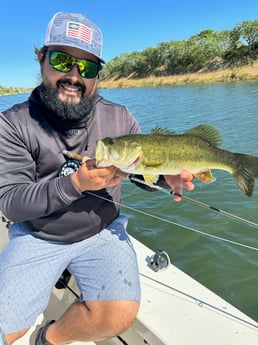 Largemouth Bass Fishing in Islamorada, Florida