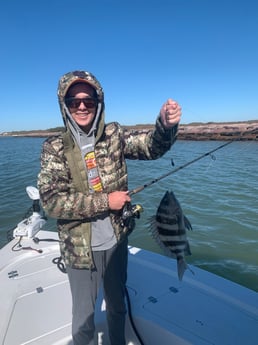 Sheepshead Fishing in Galveston, Texas