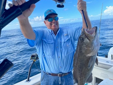 Black Grouper fishing in Pensacola, Florida