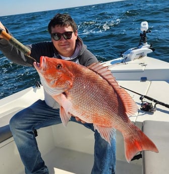 Red Snapper Fishing in Pensacola, Florida