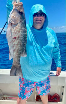 Mangrove Snapper fishing in Marathon, Florida