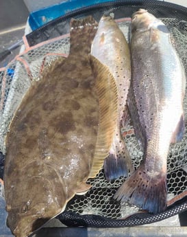 Flounder, Speckled Trout / Spotted Seatrout fishing in Galveston, Texas