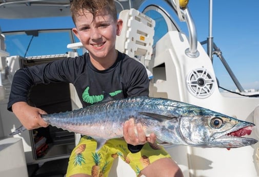 Kingfish Fishing in Boynton Beach, Florida