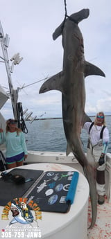 Fishing in Pompano Beach, Florida