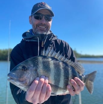 Sheepshead Fishing in Sarasota, Florida