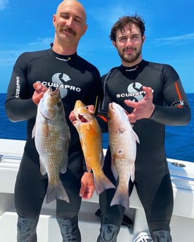 Red Snapper fishing in Islamorada, Florida