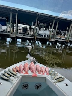 Fishing in St. Petersburg, Florida