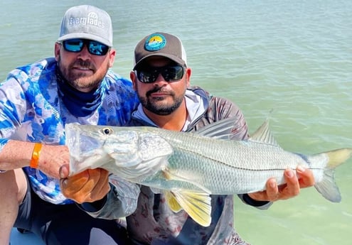 Snook fishing in Tavernier, Florida