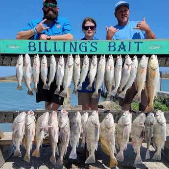 Speckled Trout / Spotted Seatrout fishing in Port Aransas, Texas