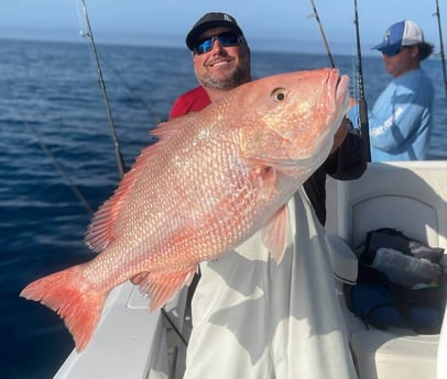 Red Snapper fishing in Clearwater, Florida