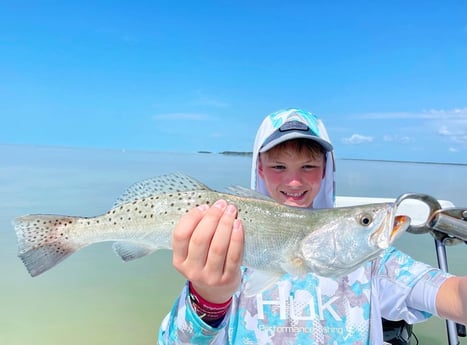 Speckled Trout / Spotted Seatrout fishing in Tavernier, Florida