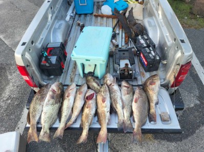 Fishing in Cedar Key, Florida