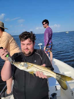 Snook Fishing in St. Petersburg, Florida