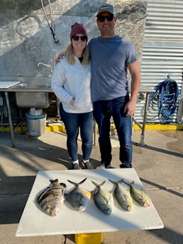 Florida Pompano, Permit, Sheepshead Fishing in Destin, Florida