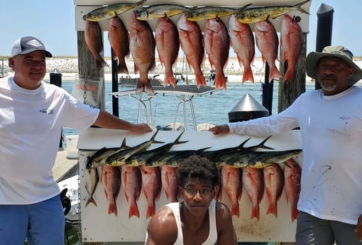 Mahi Mahi / Dorado, Red Snapper fishing in Destin, Florida