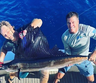 Sailfish Fishing in Pompano Beach, Florida