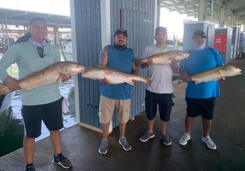 Redfish fishing in Galveston, Texas