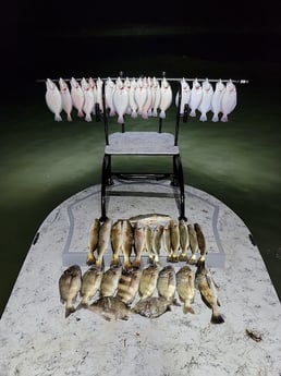Flounder, Redfish, Sheepshead, Speckled Trout / Spotted Seatrout Fishing in Rio Hondo, Texas