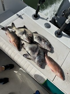 Fishing in New Smyrna Beach, Florida