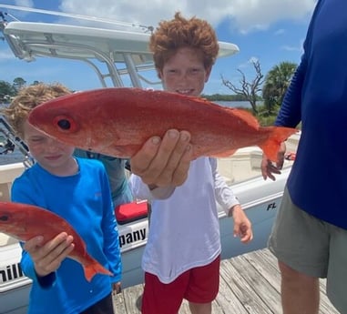 Vermillion Snapper fishing in Pensacola, Florida