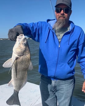 Black Drum Fishing in Corpus Christi, Texas