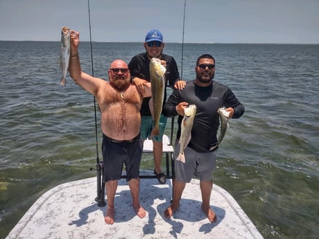 Redfish fishing in South Padre Island, Texas