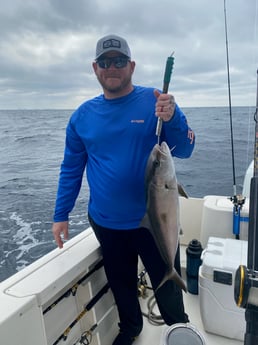 Amberjack Fishing in Destin, Florida