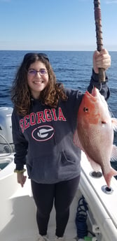 Red Snapper fishing in Destin, Florida