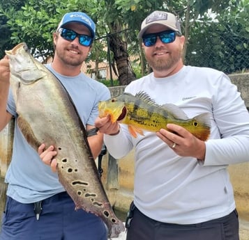 Clown Knifefish, Peacock Bass fishing in Delray Beach, Florida