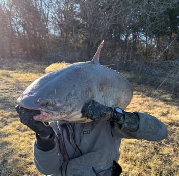 Fishing in Dallas, Texas