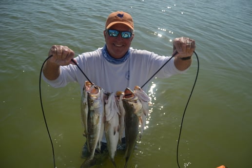 Speckled Trout / Spotted Seatrout fishing in Corpus Christi, Texas