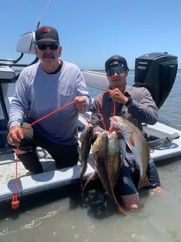 Redfish fishing in Port O&#039;connor, Texas