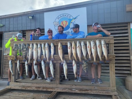 Black Drum, Redfish, Sheepshead, Speckled Trout / Spotted Seatrout Fishing in Corpus Christi, Texas