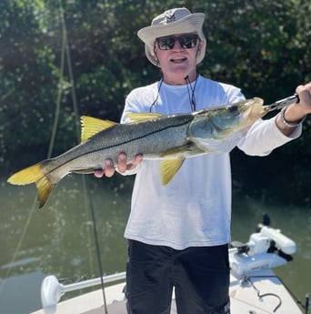 Snook fishing in Sarasota, Florida