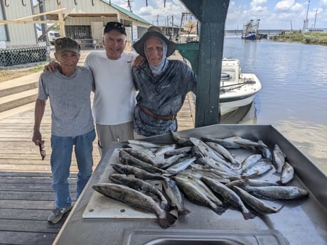 Speckled Trout / Spotted Seatrout fishing in Sulphur, Louisiana