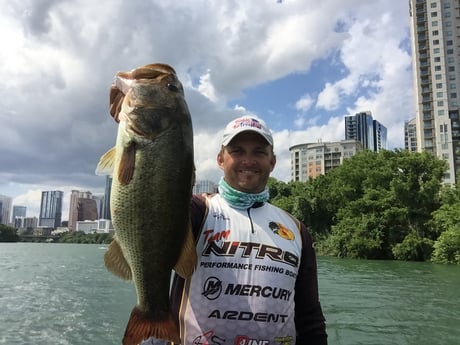 Largemouth Bass fishing in Austin, Texas