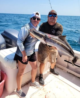 Cobia Fishing in Clearwater, Florida