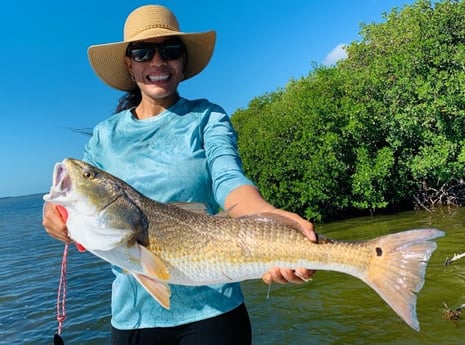 Redfish Fishing in Key Largo, Florida