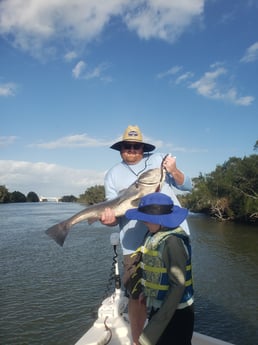 Black Drum Fishing in New Smyrna Beach, Florida