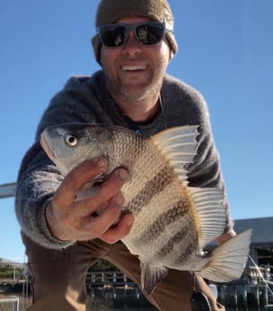 Sheepshead fishing in Wrightsville Beach, North Carolina