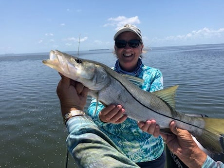 Snook Fishing in Islamorada, Florida