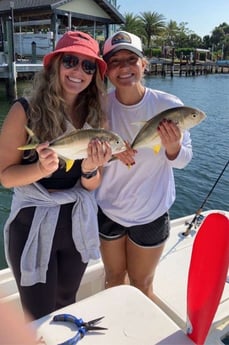 Jack Crevalle Fishing in Sarasota, Florida