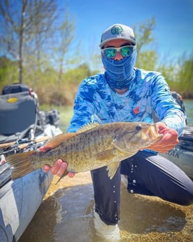 Guadalupe Bass Fishing in New Braunfels, Texas