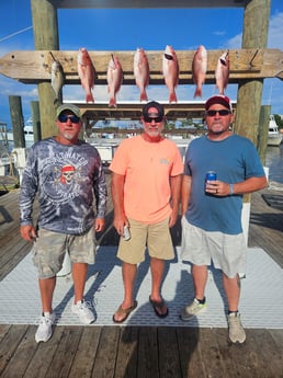 Amberjack, Red Snapper Fishing in Orange Beach, Alabama