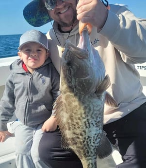 Gag Grouper Fishing in Panama City, Florida