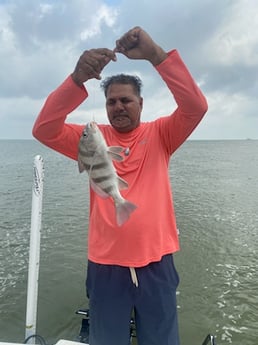 Black Drum Fishing in Galveston, Texas