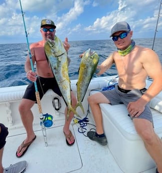 Mahi Mahi / Dorado fishing in Matagorda, Texas