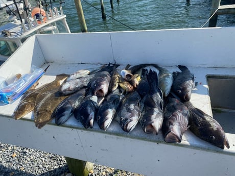 Fishing in Montauk, New York