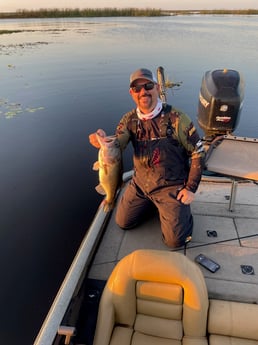 Largemouth Bass Fishing in Lake Okeechobee, Florida